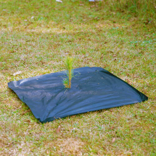 VisPore Tree Mats Forestry Suppliers, Inc.