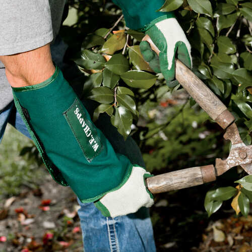 WE Chapps Arm Chapps Forestry Suppliers, Inc.