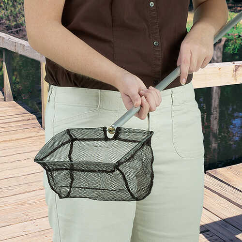 Bait Nets Forestry Suppliers, Inc.