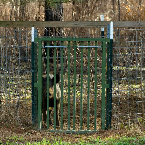 Hog Slammer Trap Gate Forestry Suppliers, Inc.