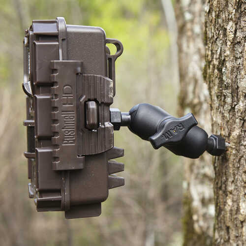 trail camera replacement straps