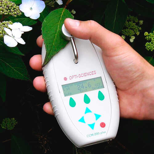 chlorophyll content mete forestry