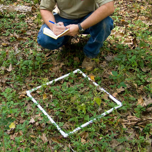 Collapsible Sampling Squares Forestry Suppliers, Inc.