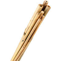 Bamboo Stakes, 3/8” x 3’, Bundle of 500