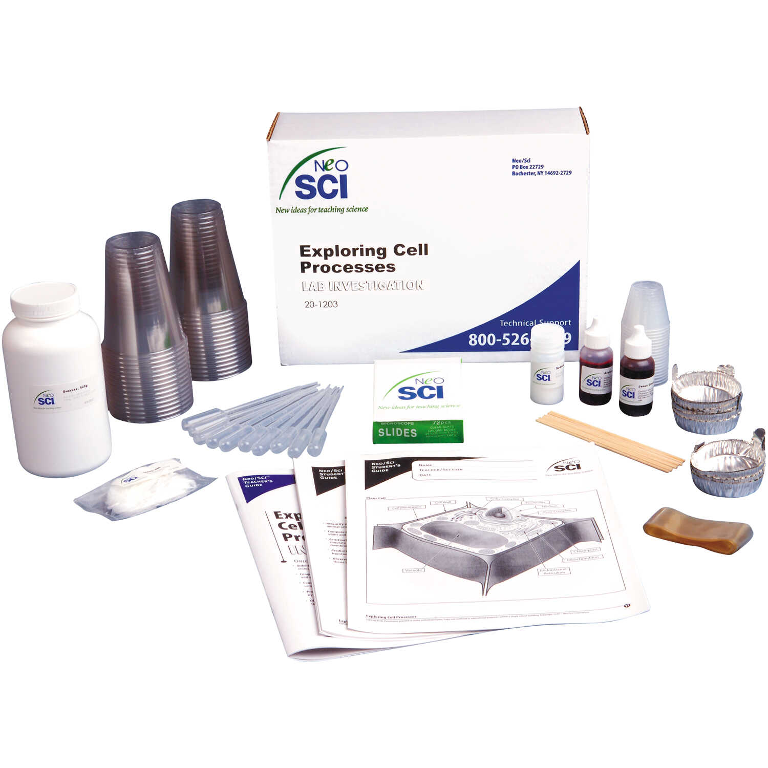 NeoSci Exploring Cell Processes Lab Investigation Forestry Suppliers