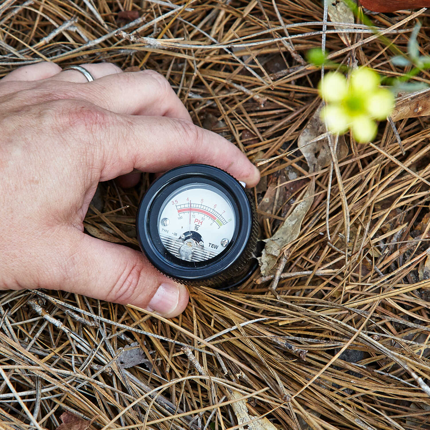 Kelway Soil pH and Moisture Meter Forestry Suppliers, Inc. Kelway Soil pH and Moisture Meter Forestry Suppliers, Inc.