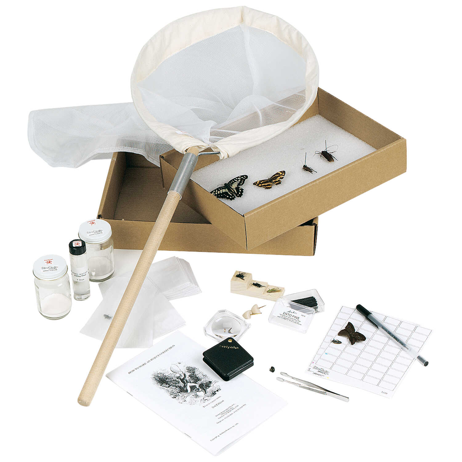Student Insect Collecting Mounting Kit Forestry Suppliers, Inc.