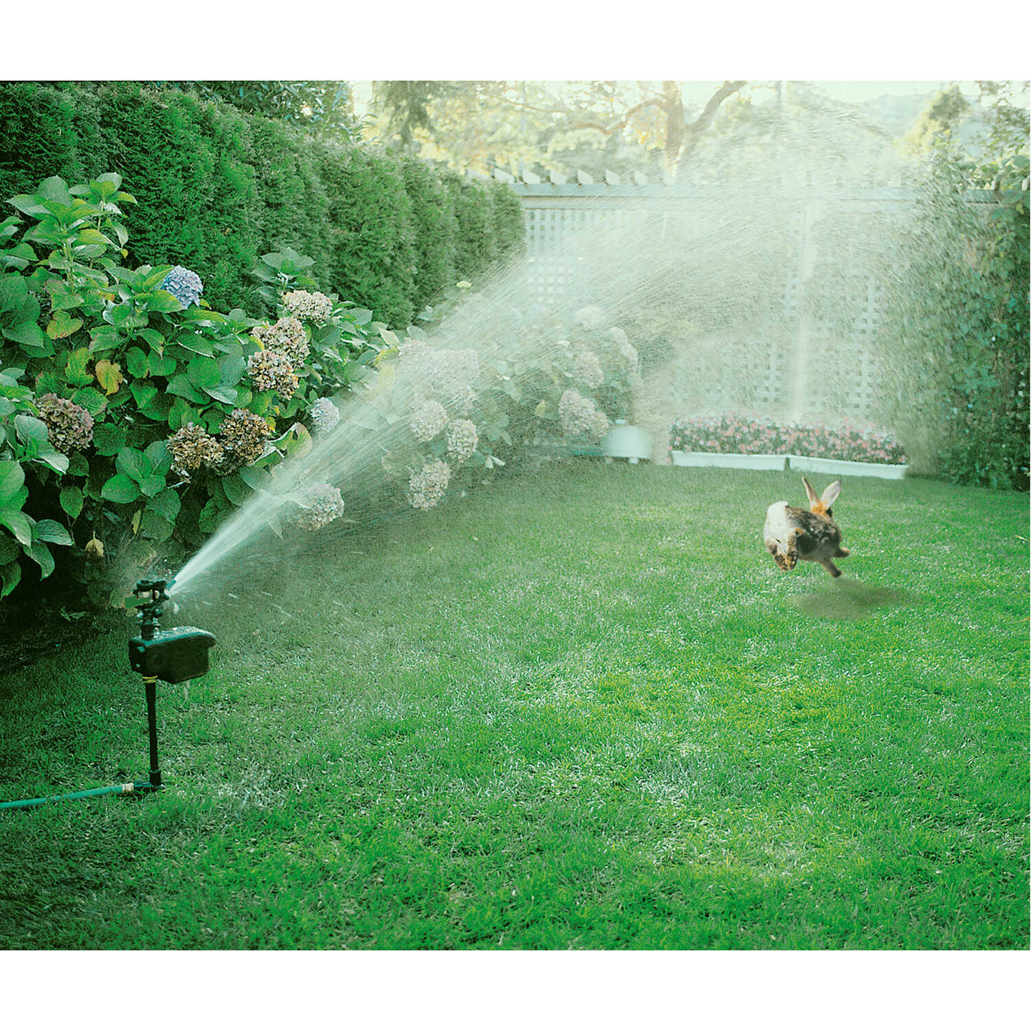 Scarecrow Motion Activated Sprinkler, , Forestry Suppliers, Inc.