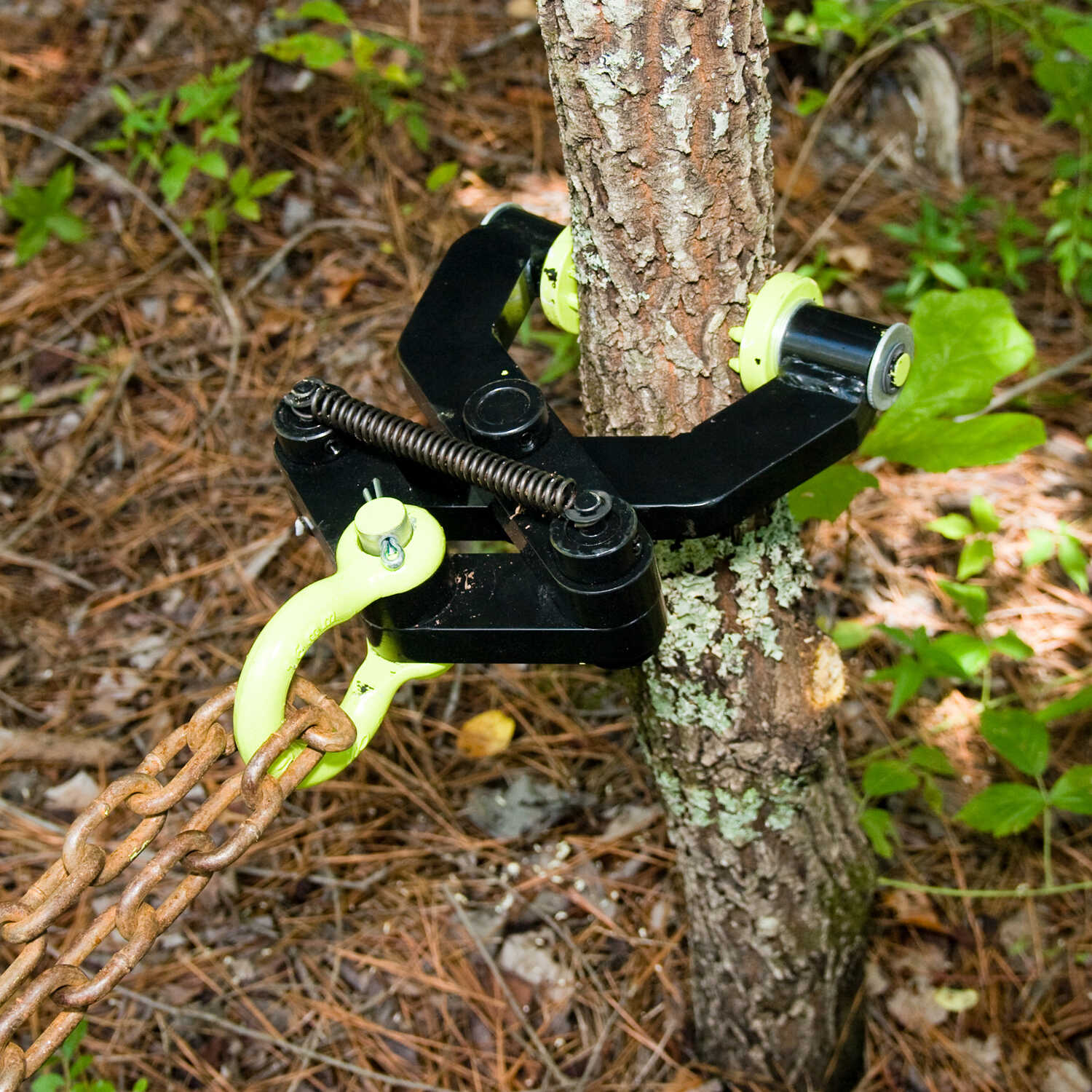 Product Page 301 Redirect Forestry Suppliers, Inc.