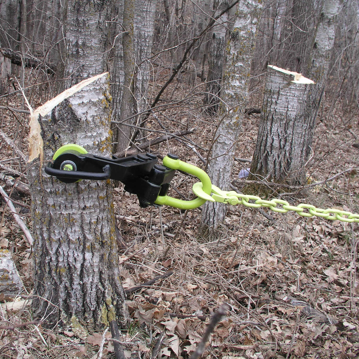 Brush Grubber Boss S.D. Forestry Suppliers, Inc.