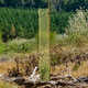 Rigid Seedling Protector Tubes