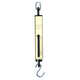 Chatillon Straight Scale �Iron Clad�