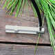 Chlorophyll Content Meter Model CCM-300