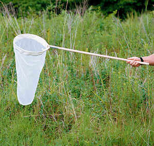 Search Results | Biology Supplies | Forestry Suppliers, Inc.