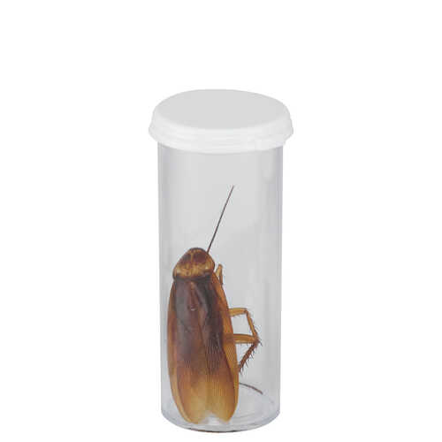 Plastic Styrene Vials
