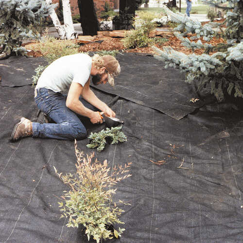 DeWitt Weed Barrier Professional Max Weed Control 3 X 100 Forestry dewitt-weed-barrier-professional-max-weed-control-3-x-100-forestry
