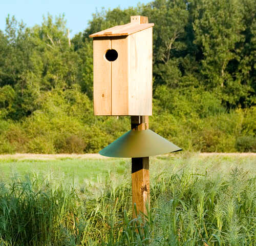 Cypress Wood Duck Nesting Box