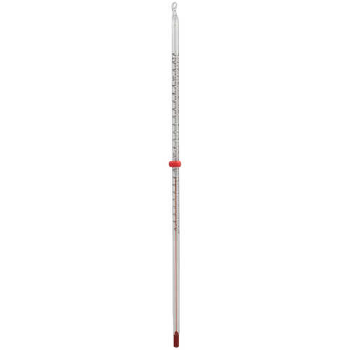 12˝ Dual-Scale Spirit-Filled Lab Thermometer