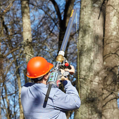 Arborist Shoulder Shot Tree Toppler
