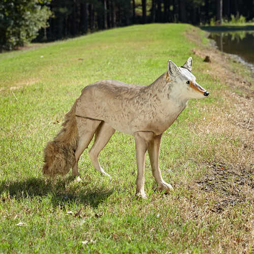 Lone Howler™ Goose-Repelling Coyote Decoy