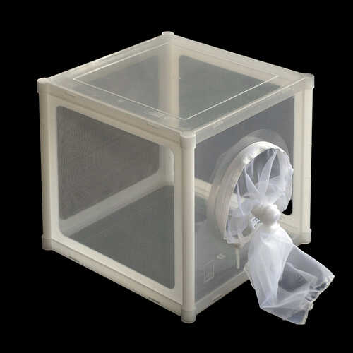 BugDorm Insect Rearing Cage