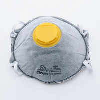 Hot Shield Disposable Particle Mask