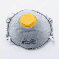 Hot Shield Disposable Particle Mask, Box of 10