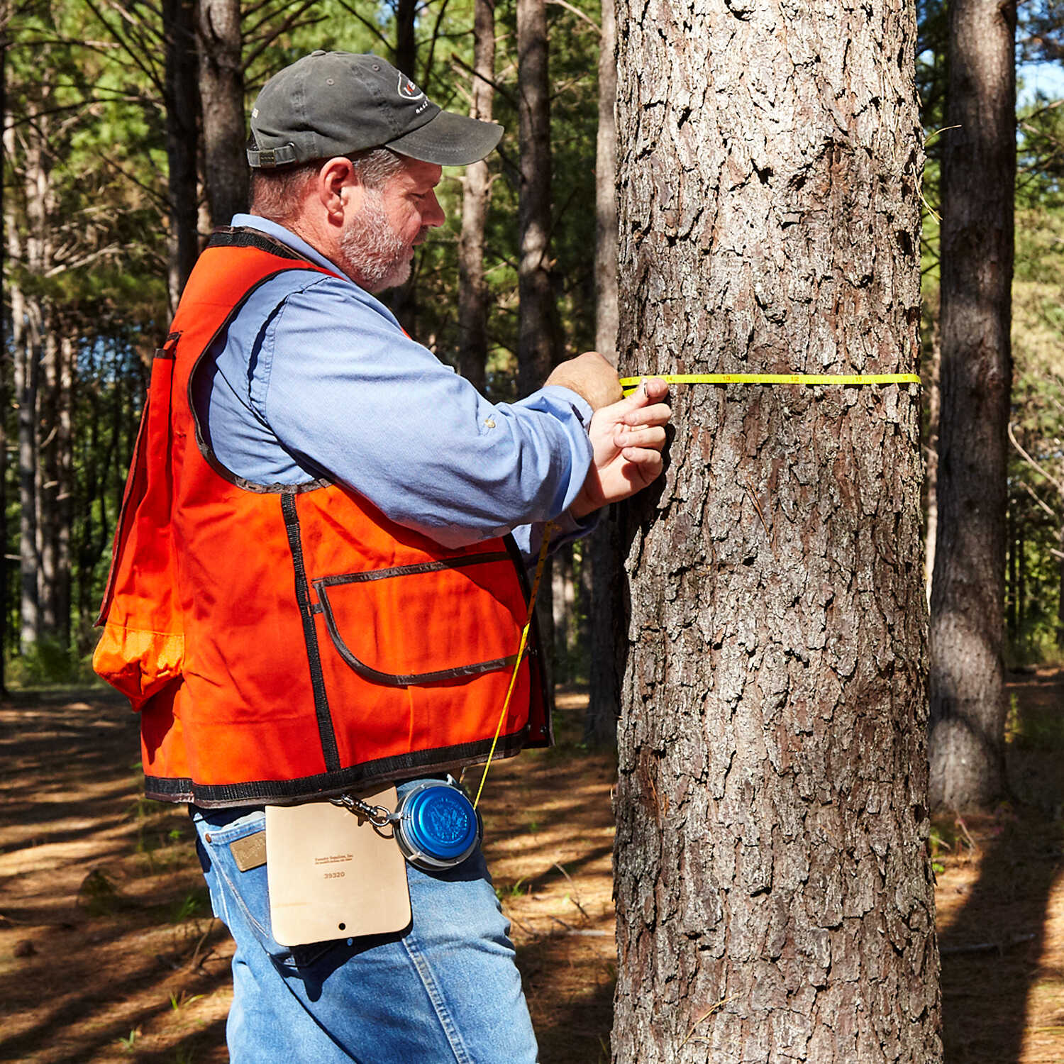 Logging & Diameter Tapes - Forestry Tools