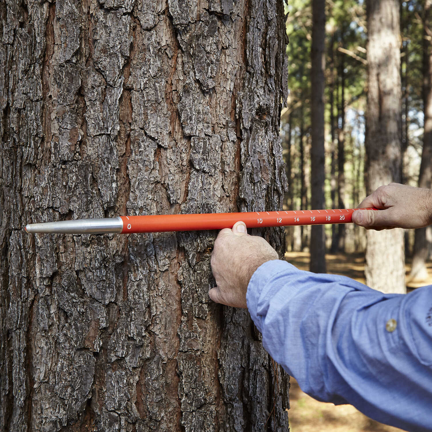 Forestry Suppliers Economy Plot Center Stick 