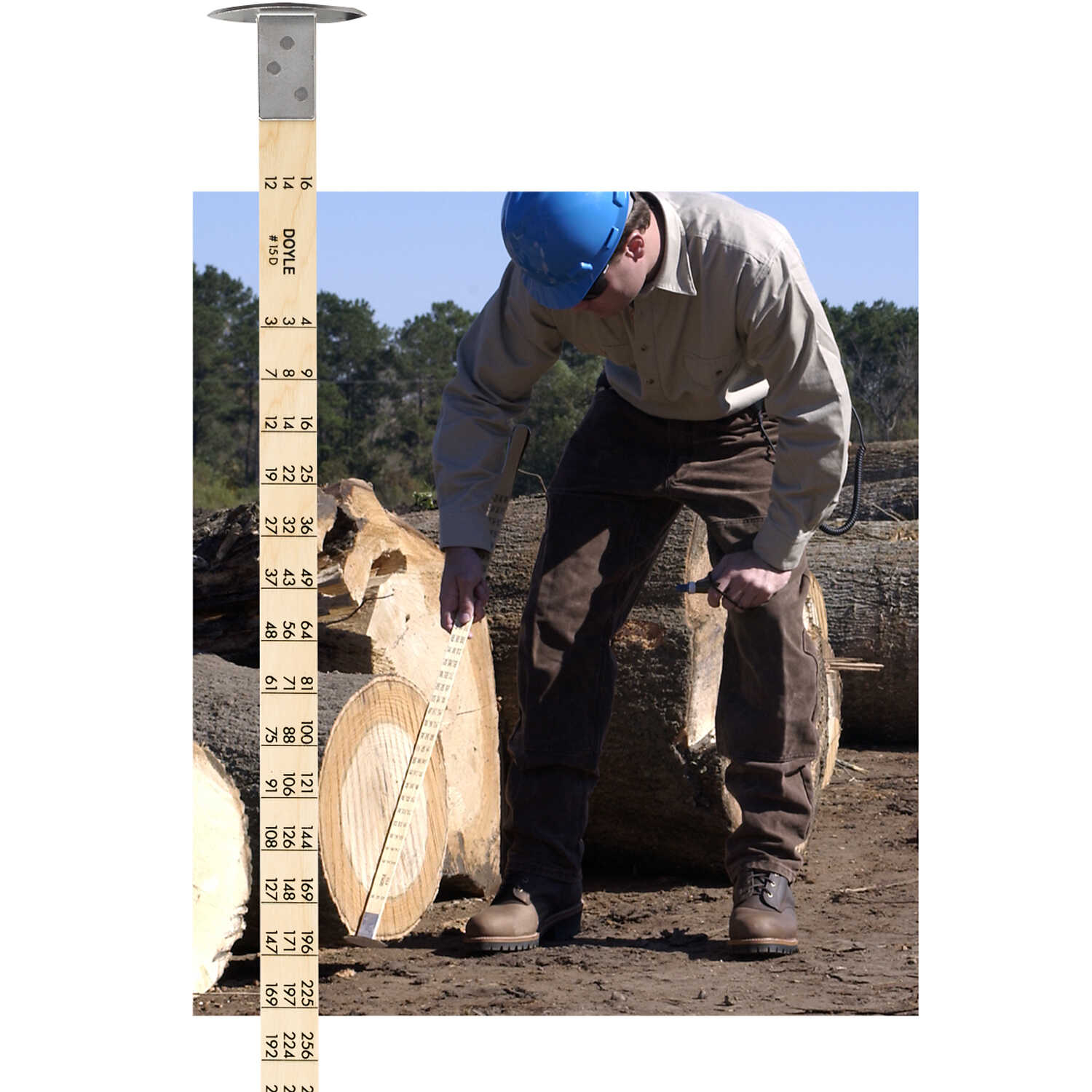 Conway Cleveland Log Rules Forestry Suppliers, Inc.