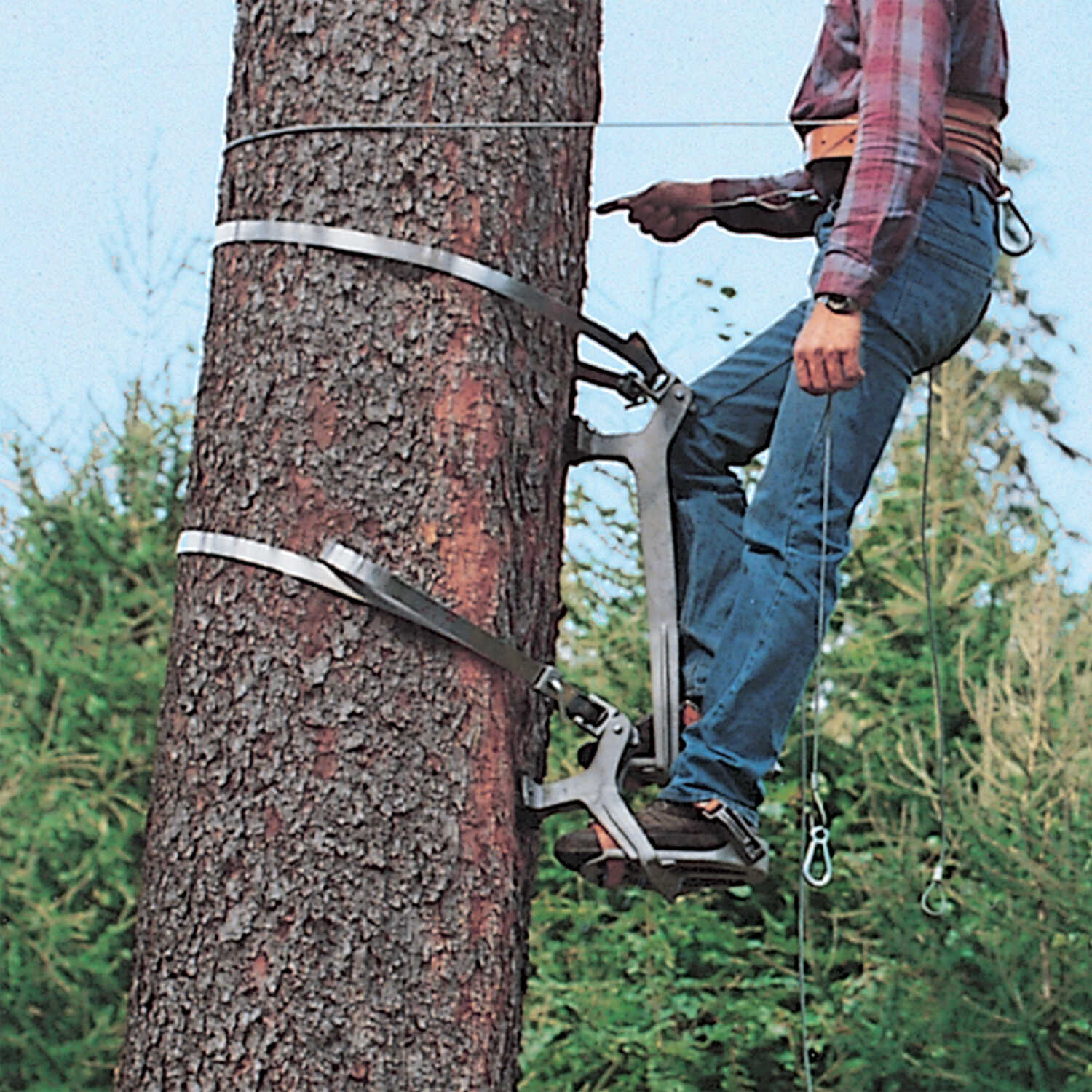 arborist climbing shoes