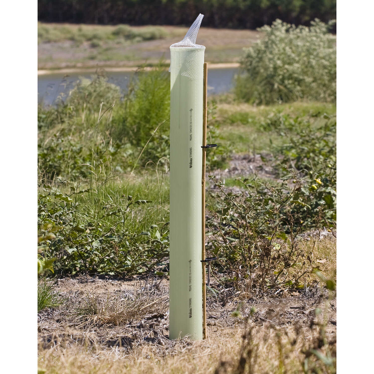 rigid mesh tubes for trees let air and sunlight in – keep critters