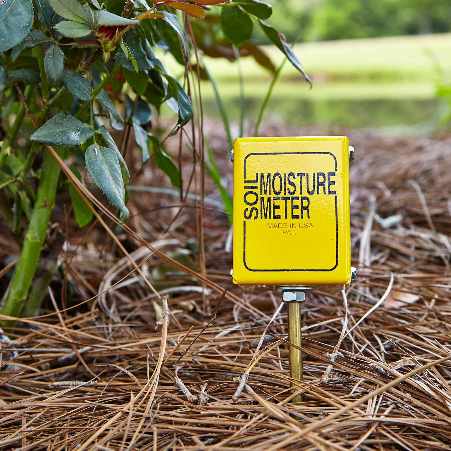 Soil Moisture Meter Chart