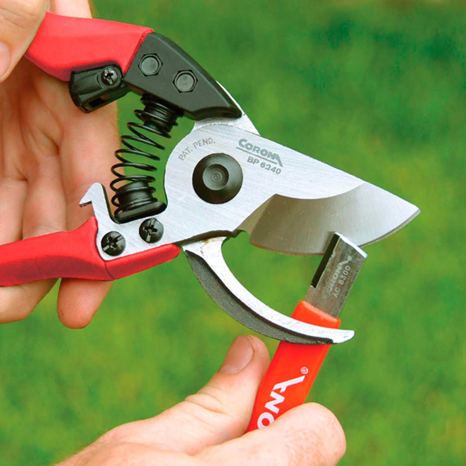 Quick Sharpener Tool by Corona