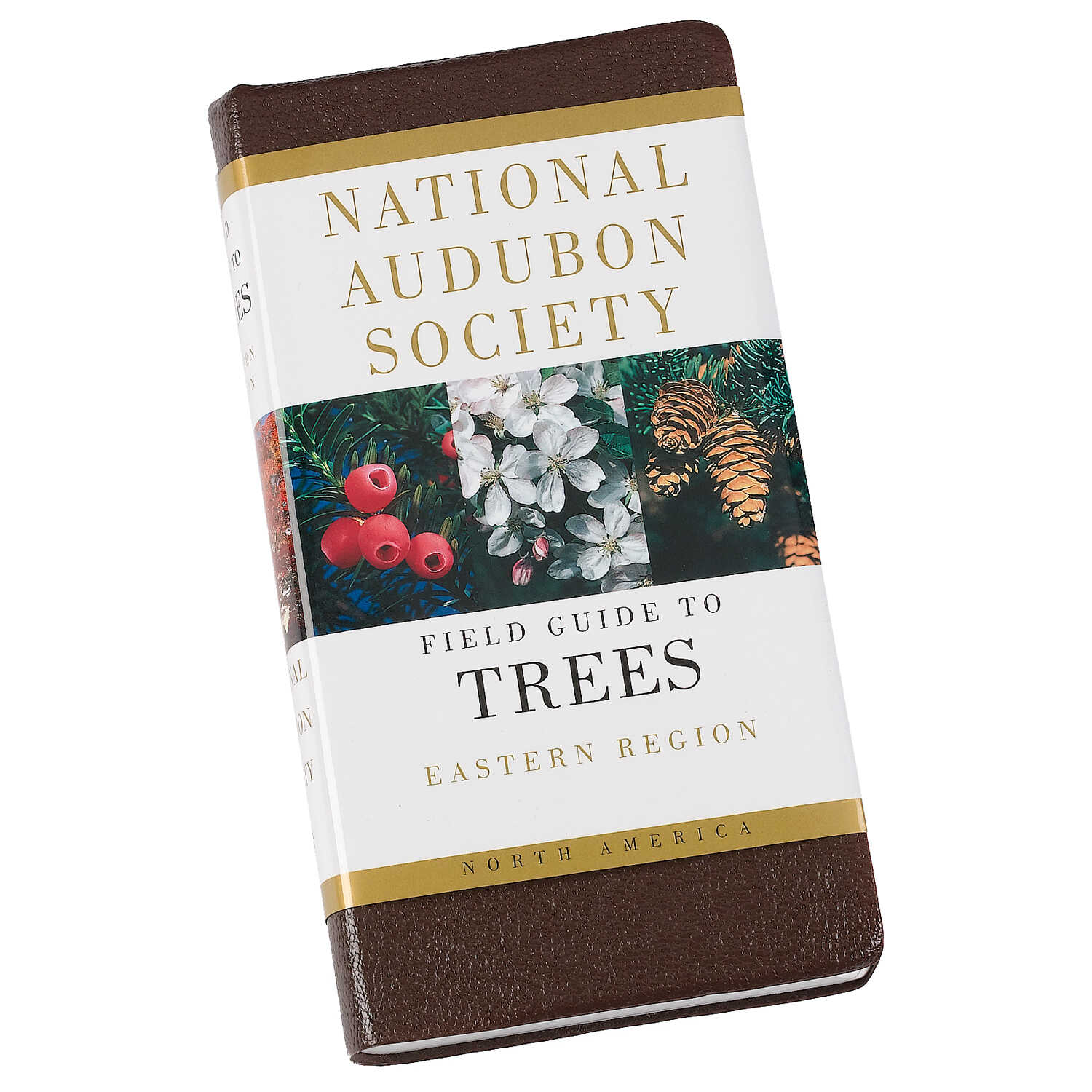 National Audubon Society Field Guide Eastern Trees 9780394507606 eBay