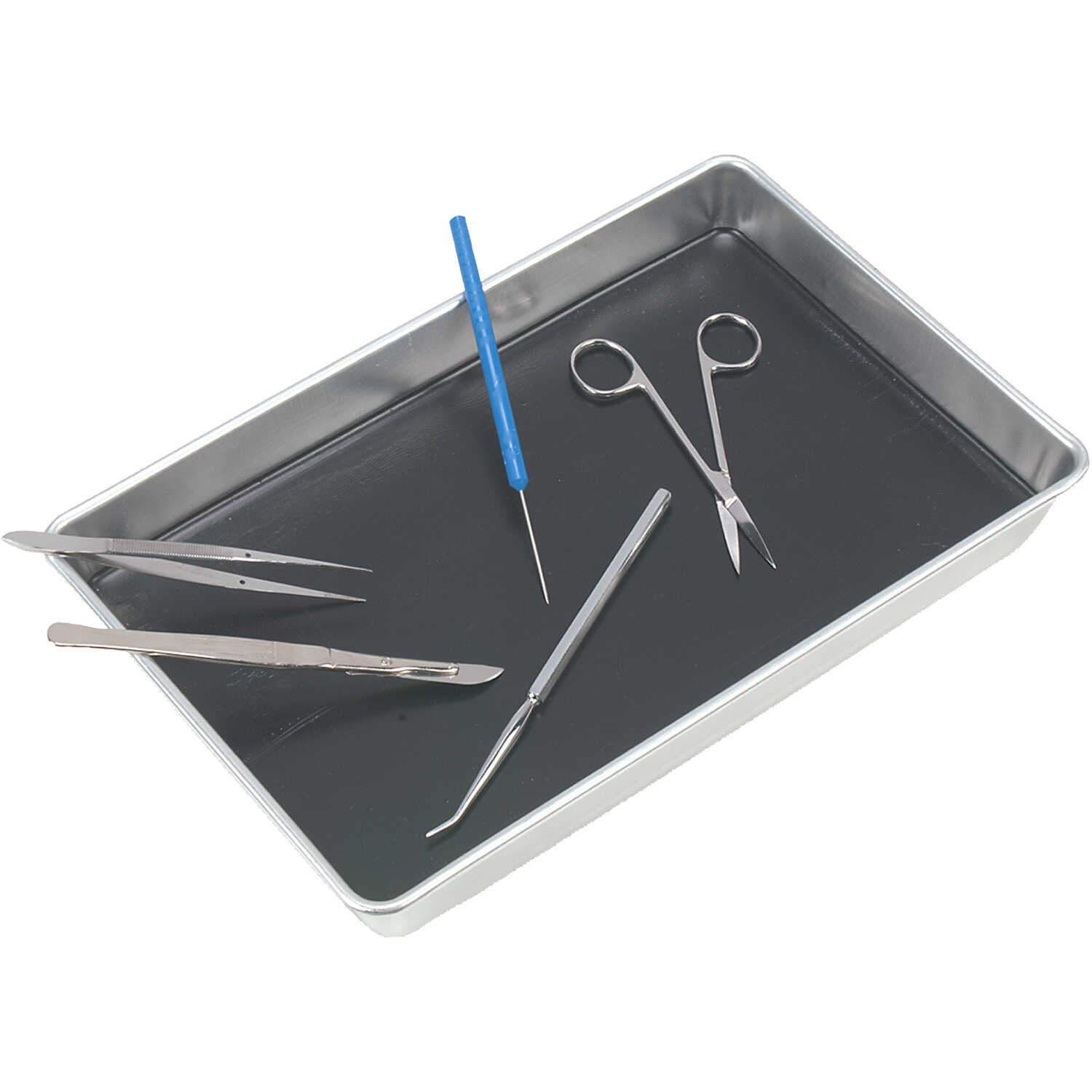 Disposable Dissecting Trays, Large