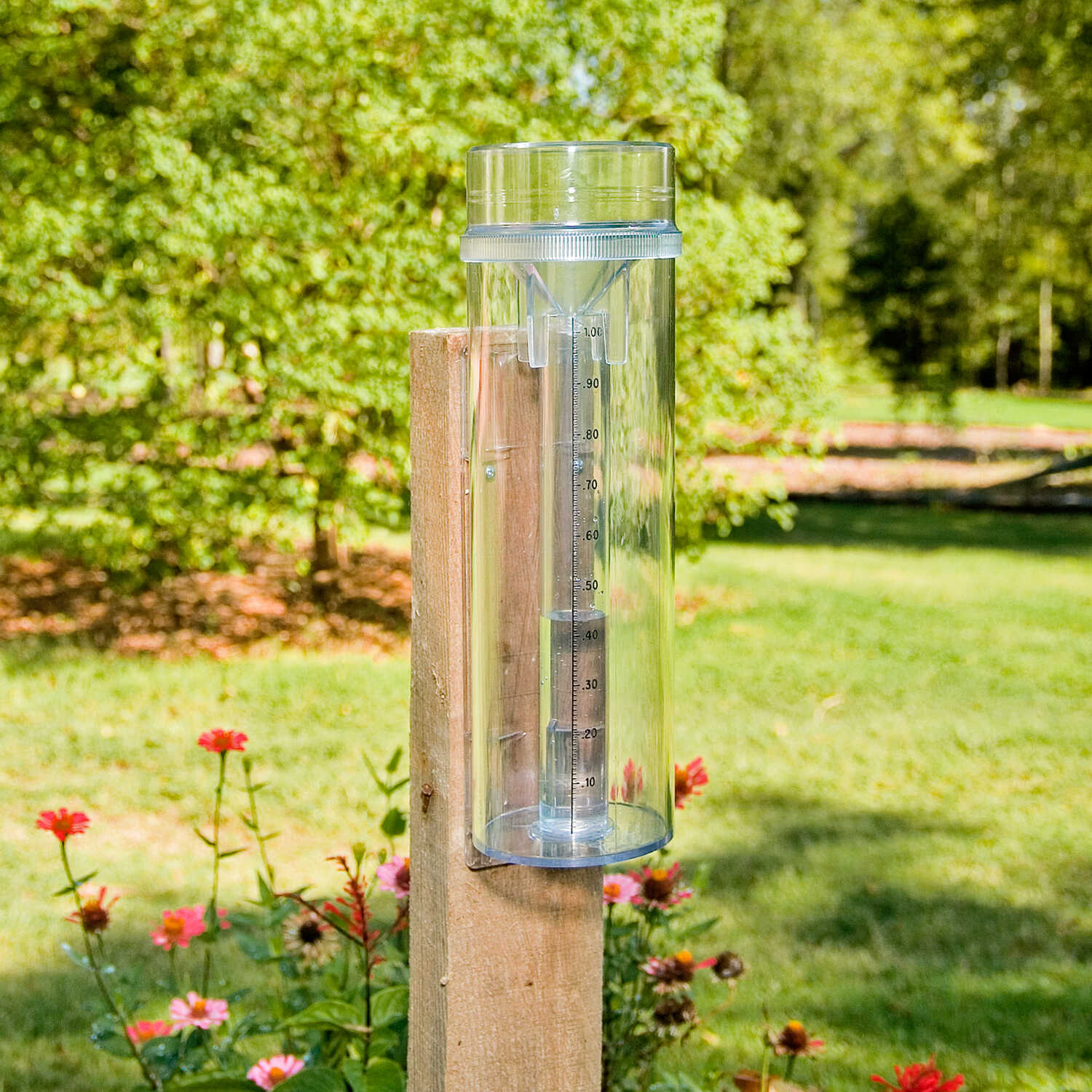 Rain Gauge Chart 2018