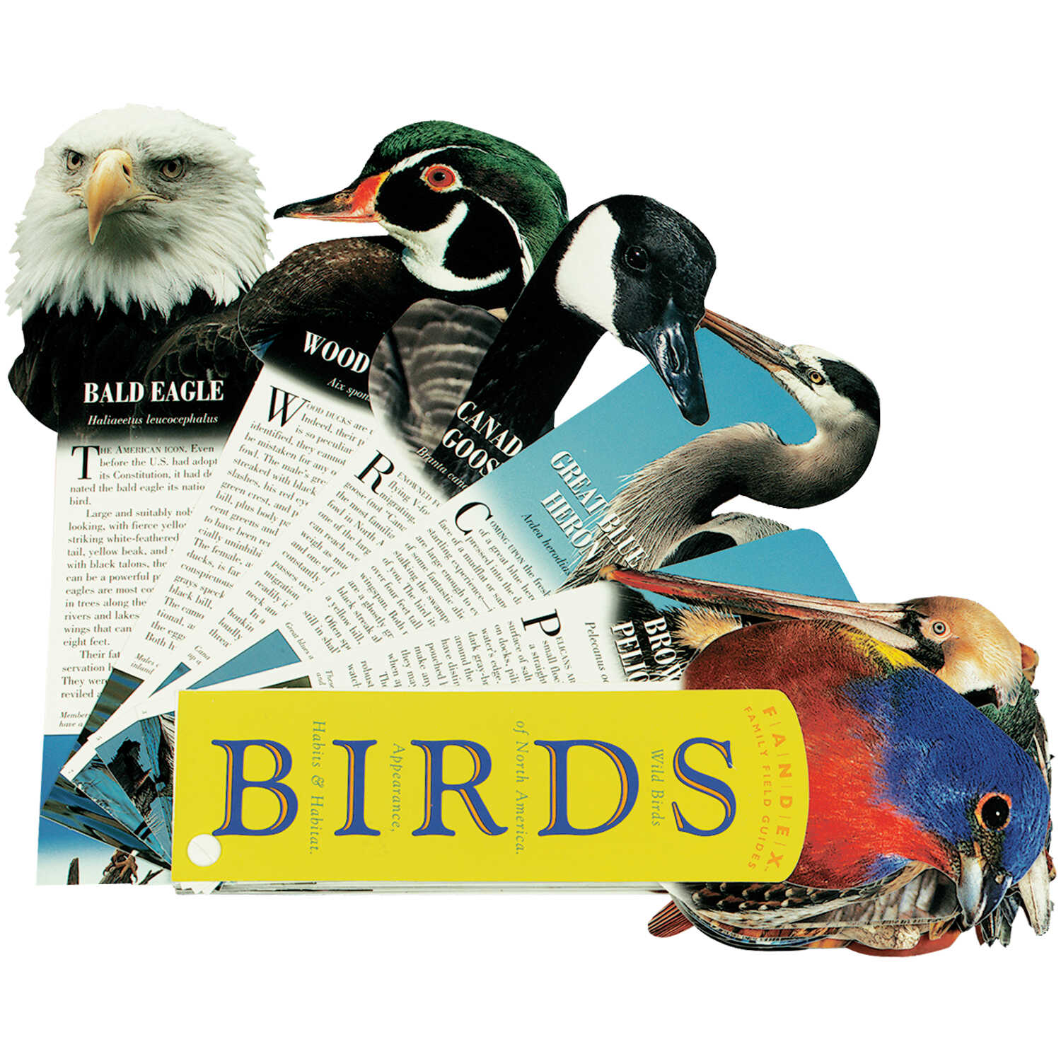 Fandex Family Field Guides Forestry Suppliers Inc