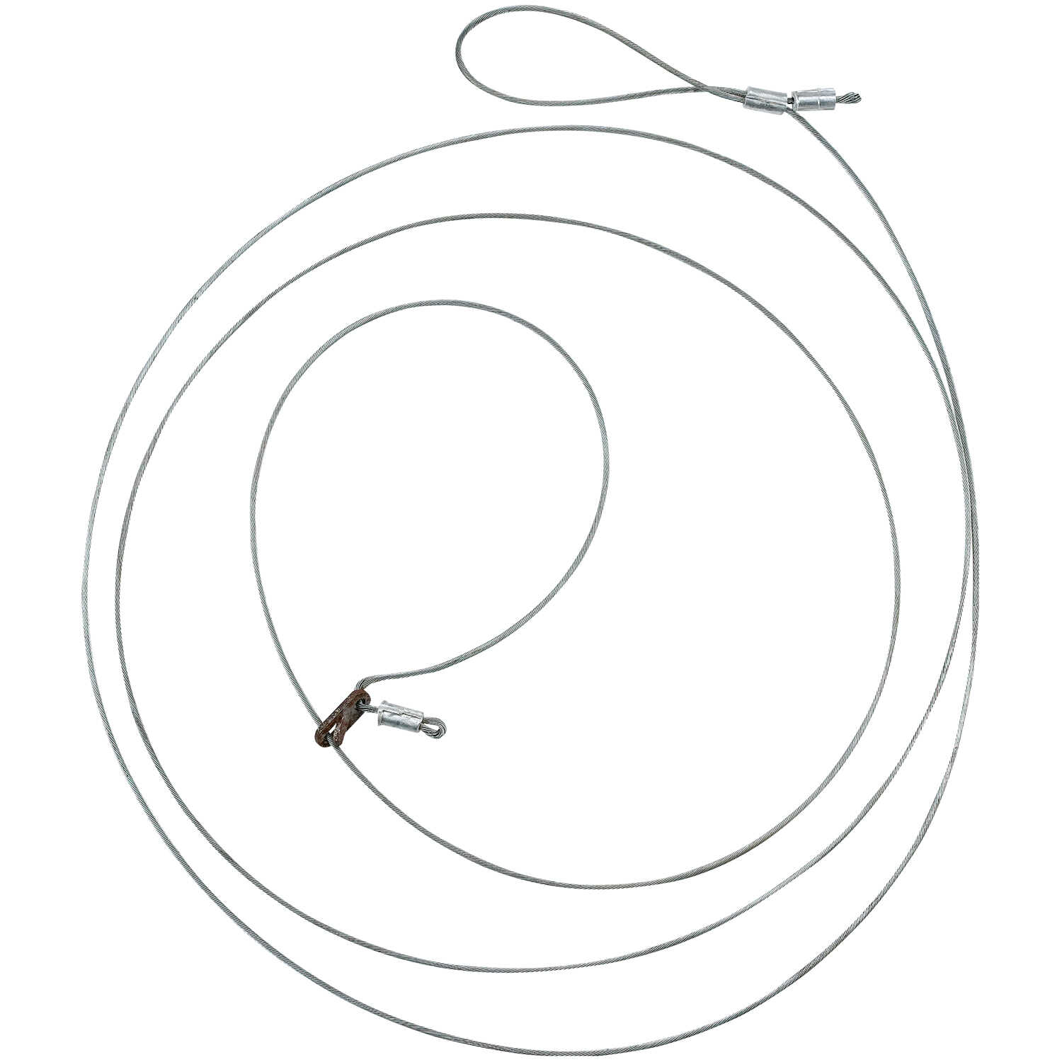 Wild Hog Snares