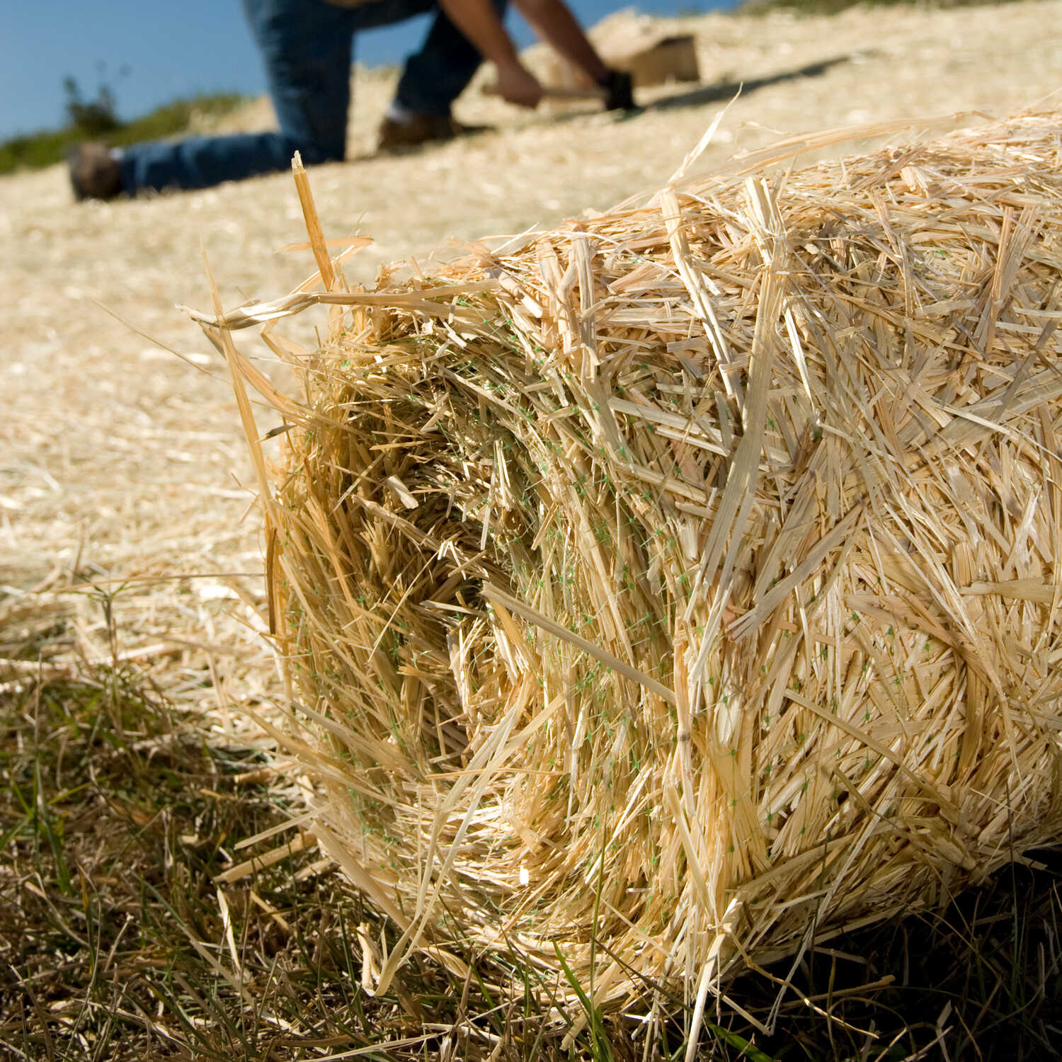 Single Net Straw Erosion Control Blanket Forestry Suppliers