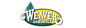 Weaver Arborist
